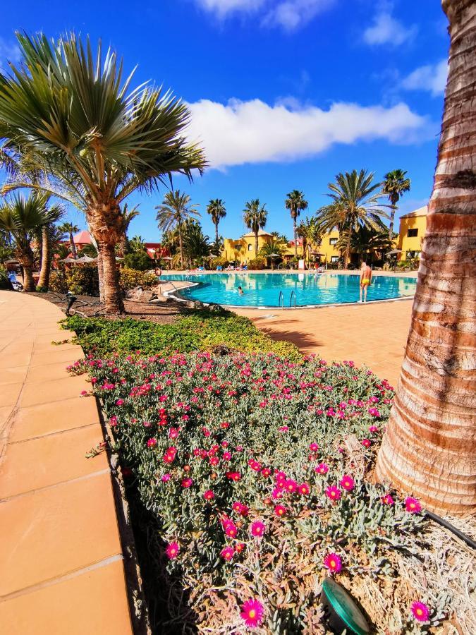 Appartamento Spagnolo Oasis Tamarindo Corralejo Buitenkant foto