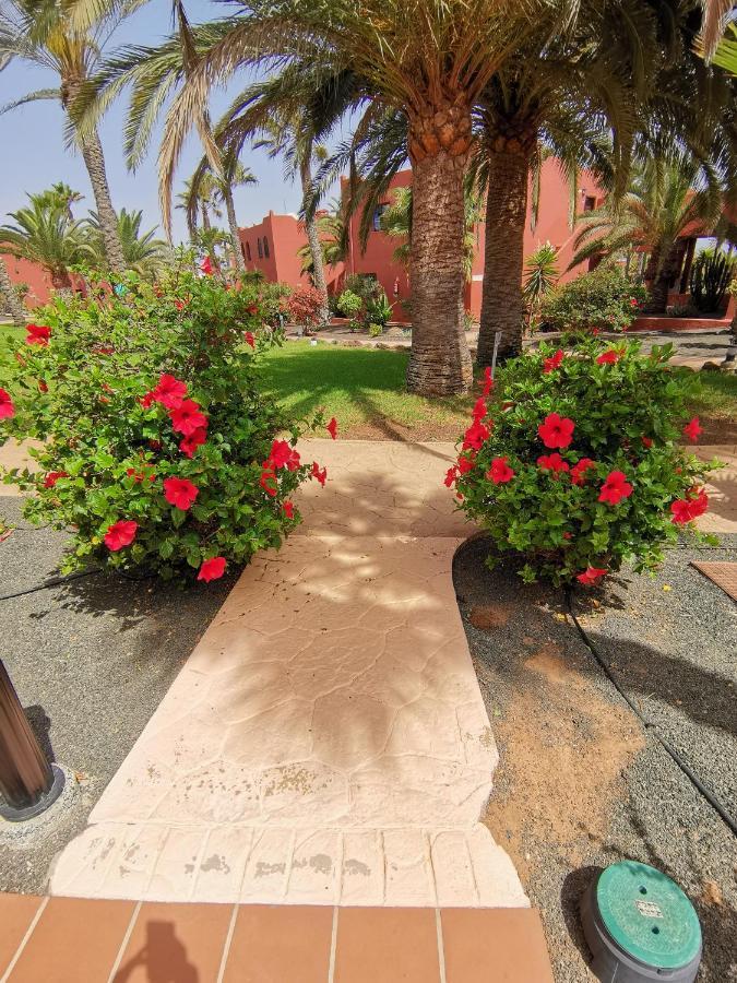 Appartamento Spagnolo Oasis Tamarindo Corralejo Buitenkant foto