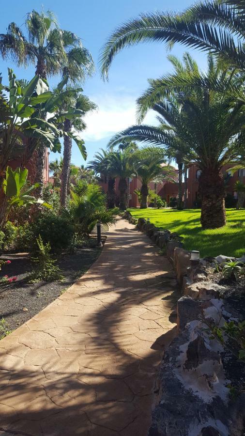Appartamento Spagnolo Oasis Tamarindo Corralejo Buitenkant foto