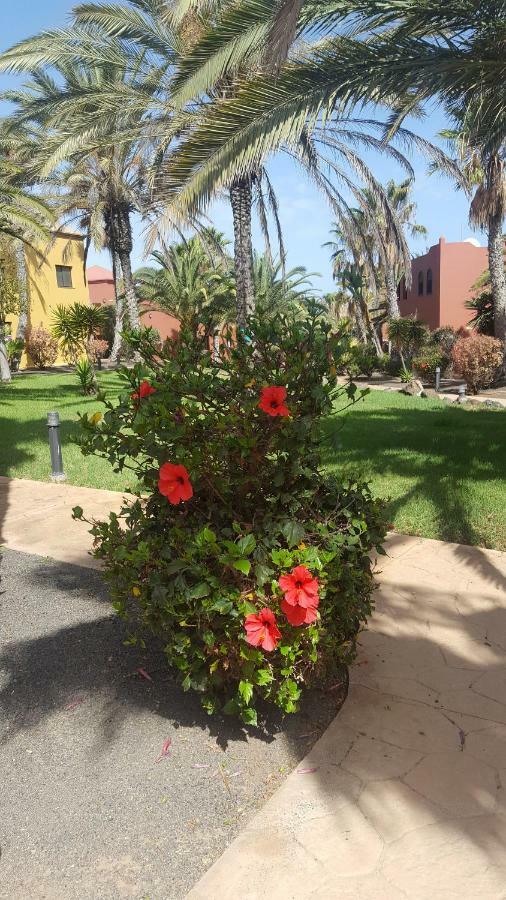 Appartamento Spagnolo Oasis Tamarindo Corralejo Buitenkant foto